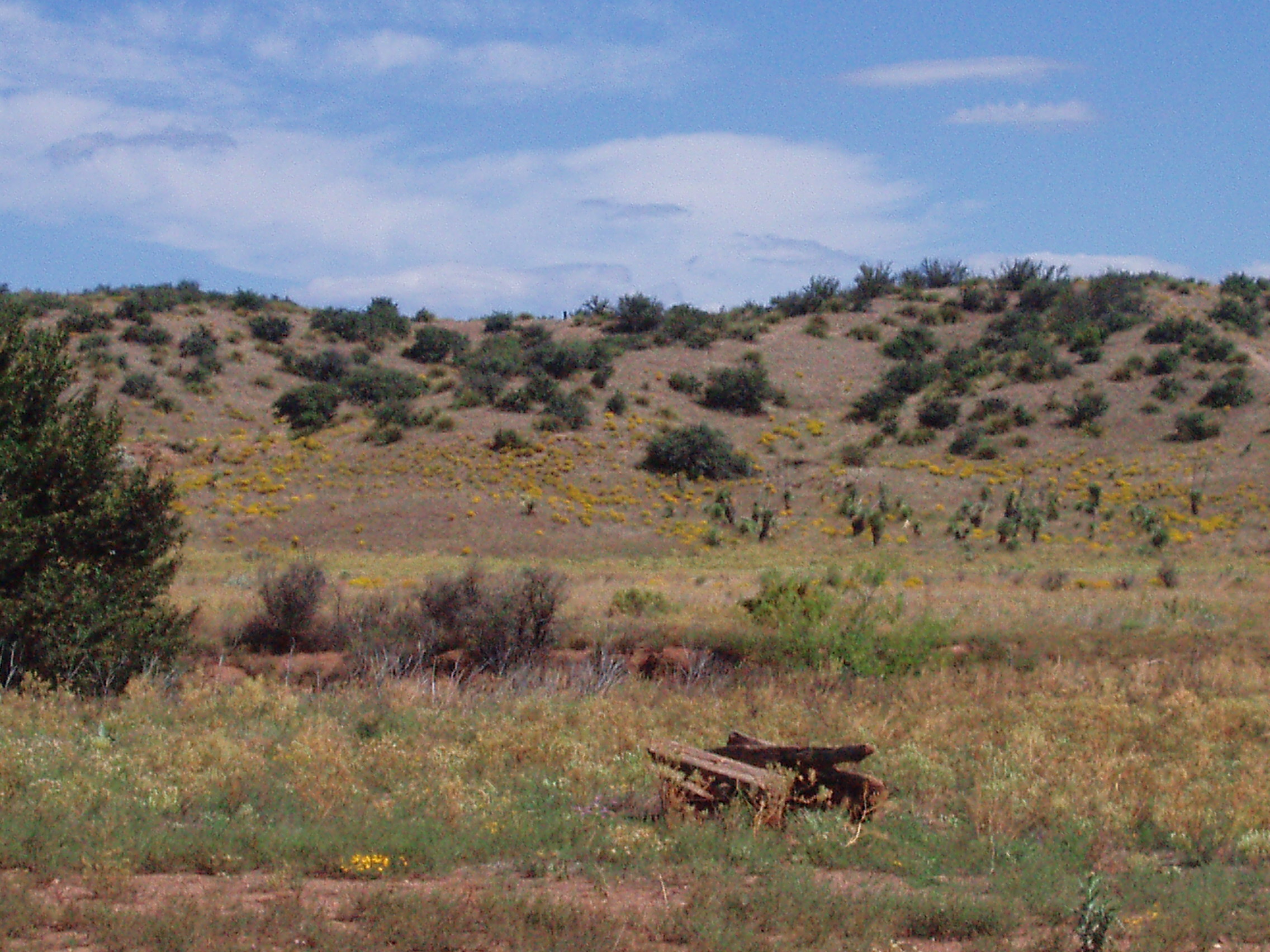 P1010002.JPG