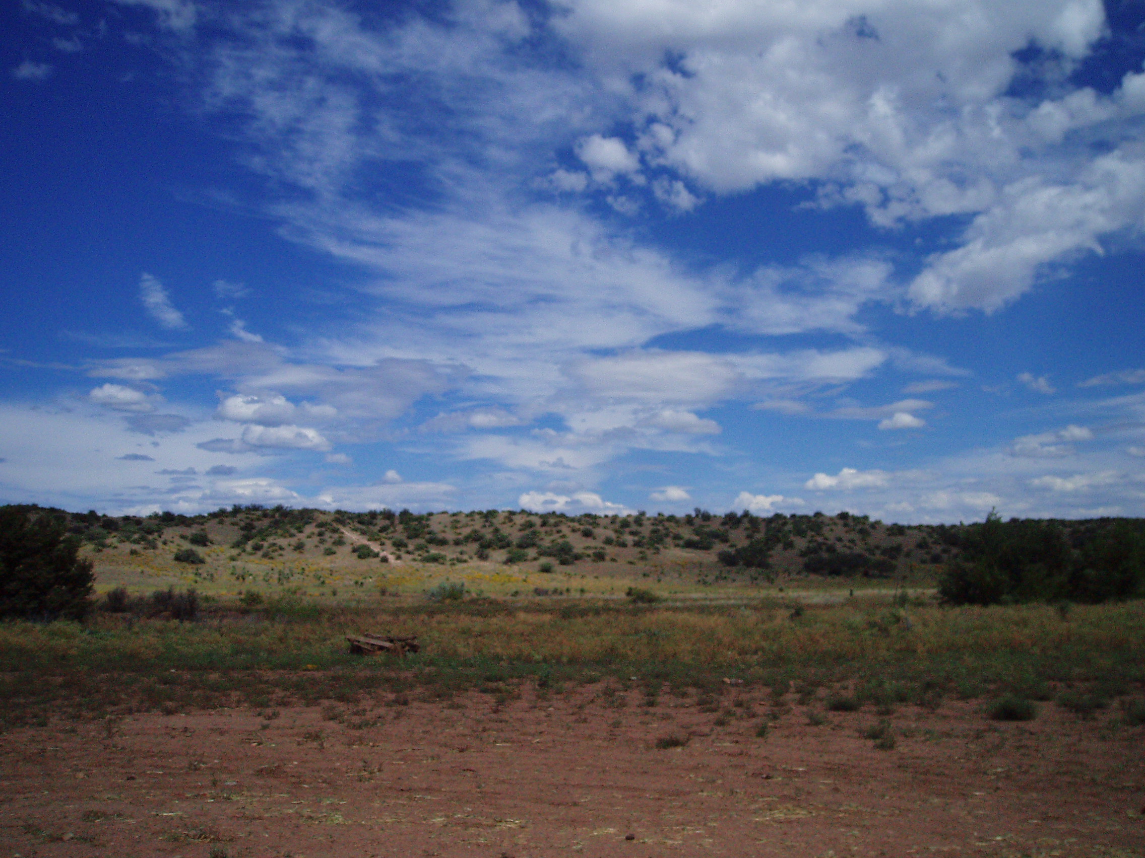 P1010009.JPG